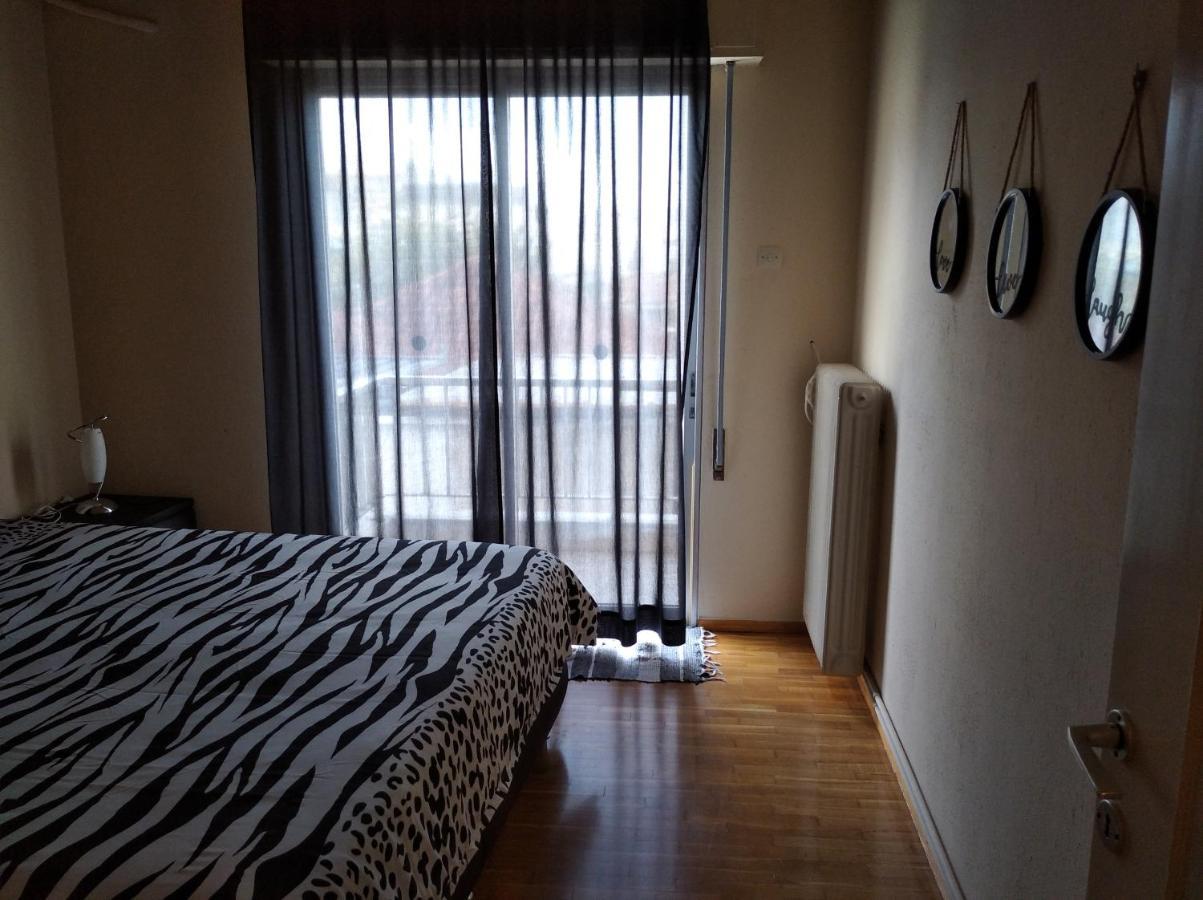 Niki'S House Άνετο Διαμ/Σμα 106Τμ 2 Υπνοδωματίων Volos Exterior foto